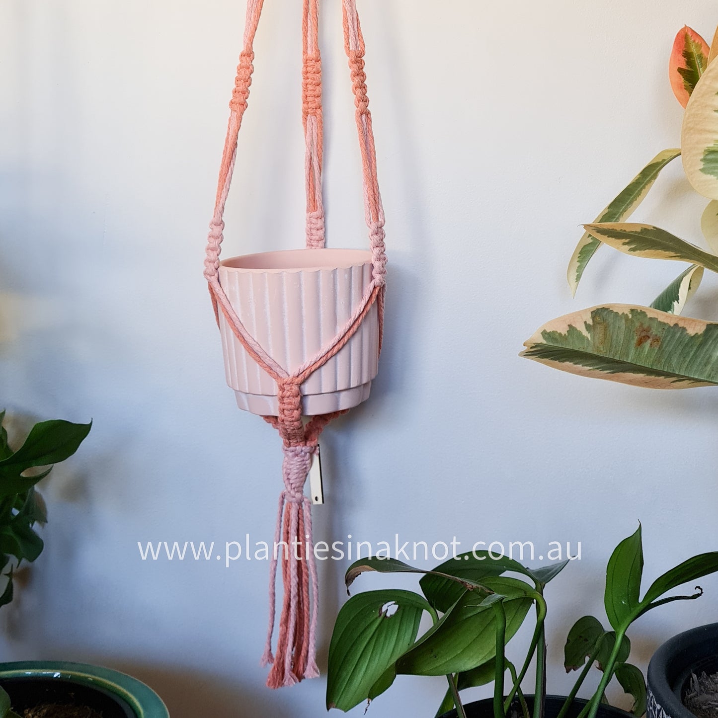 Mikky Plant Hanger