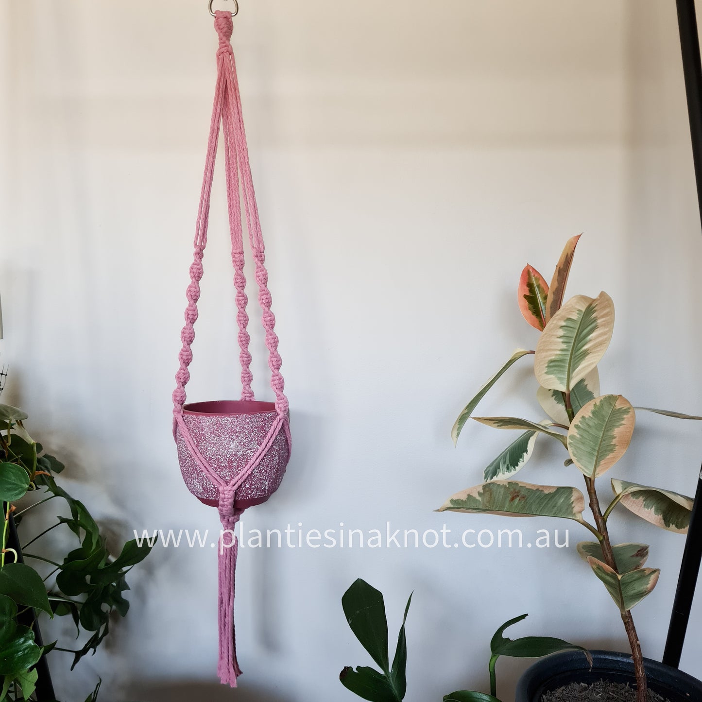 Elly Plant Hanger