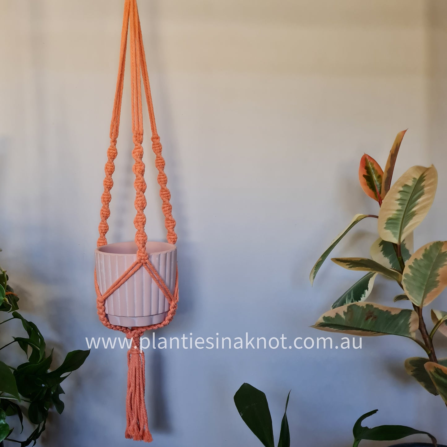 Elly Plant Hanger