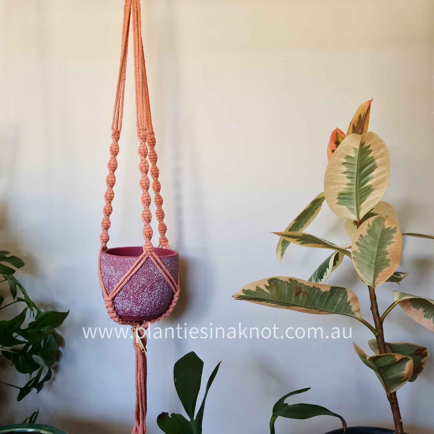 Elly Plant Hanger