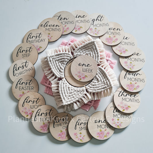 Pink Daisy Milestone Set
