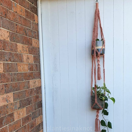 Megan - Double Plant Hanger