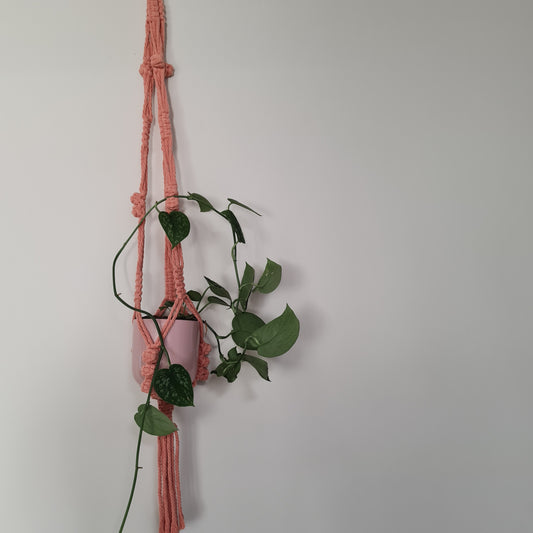 Melana Plant Hanger