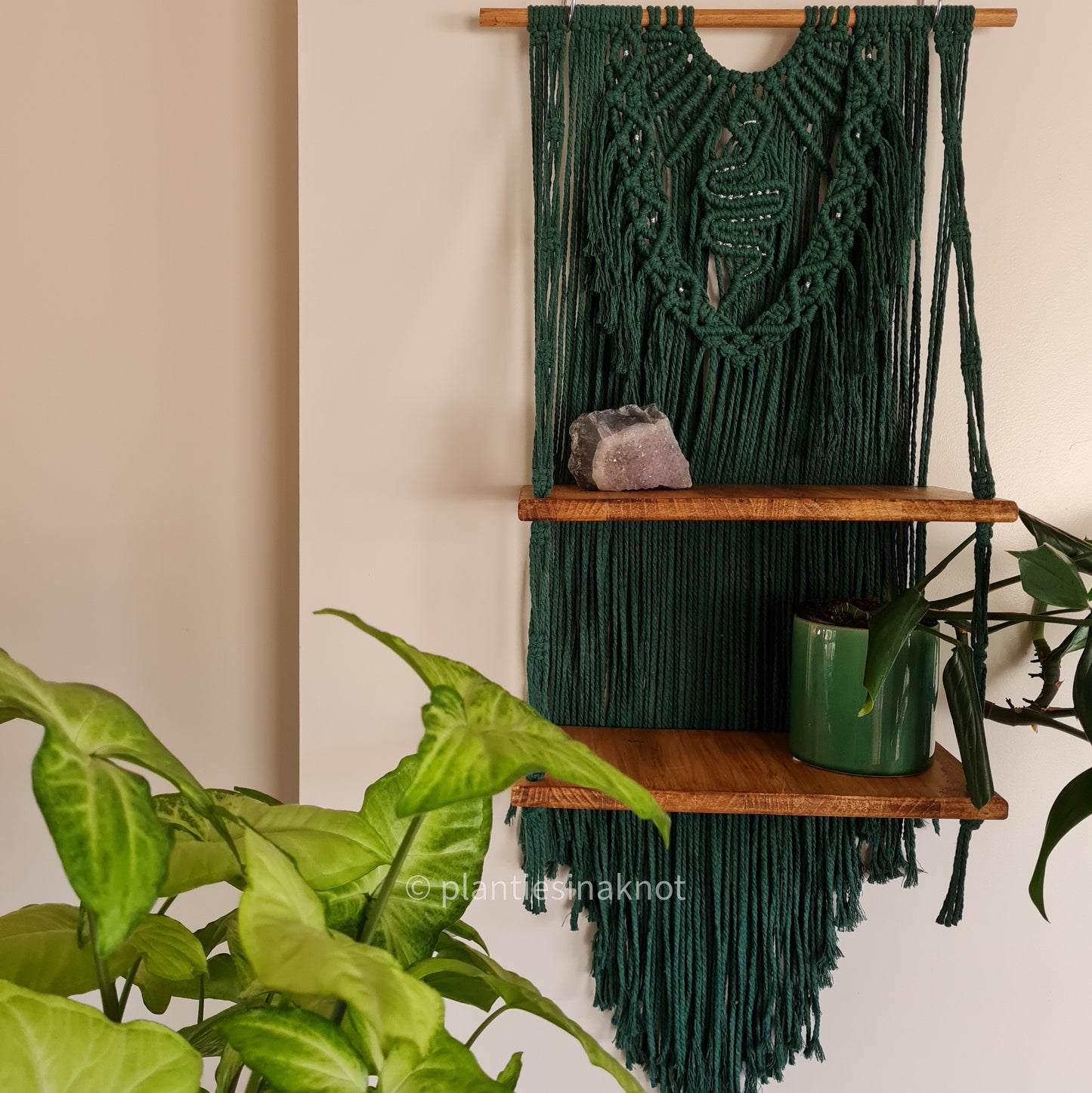 Nagini Shelf