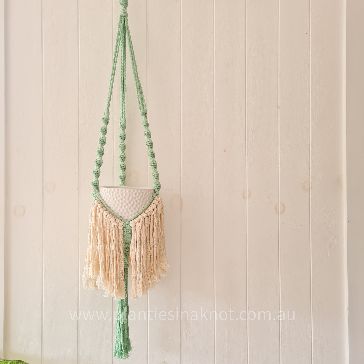 Elizabeth Plant Hanger