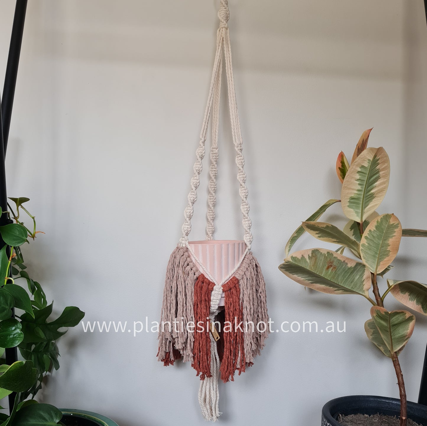 Elizabeth Plant Hanger