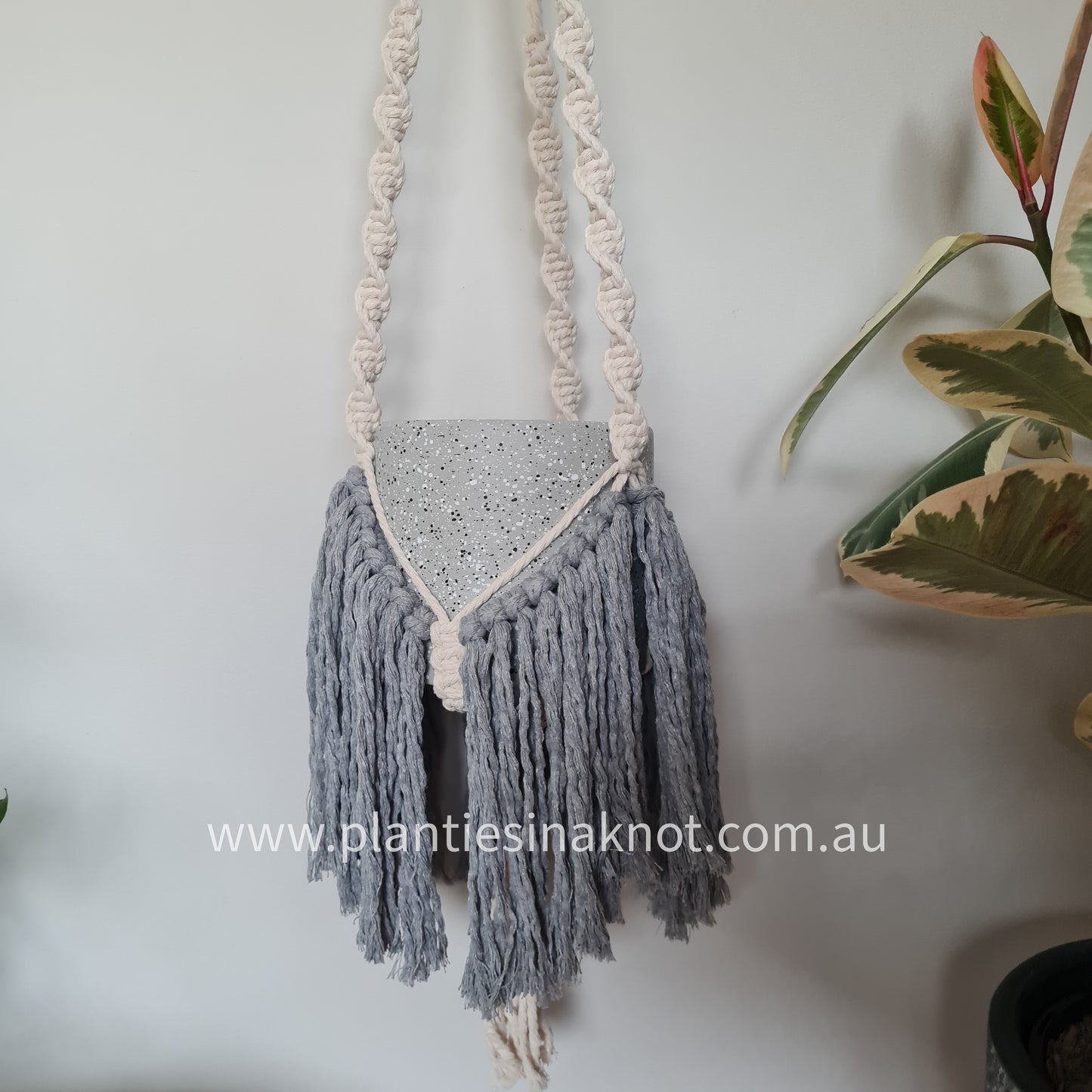 Elizabeth Plant Hanger