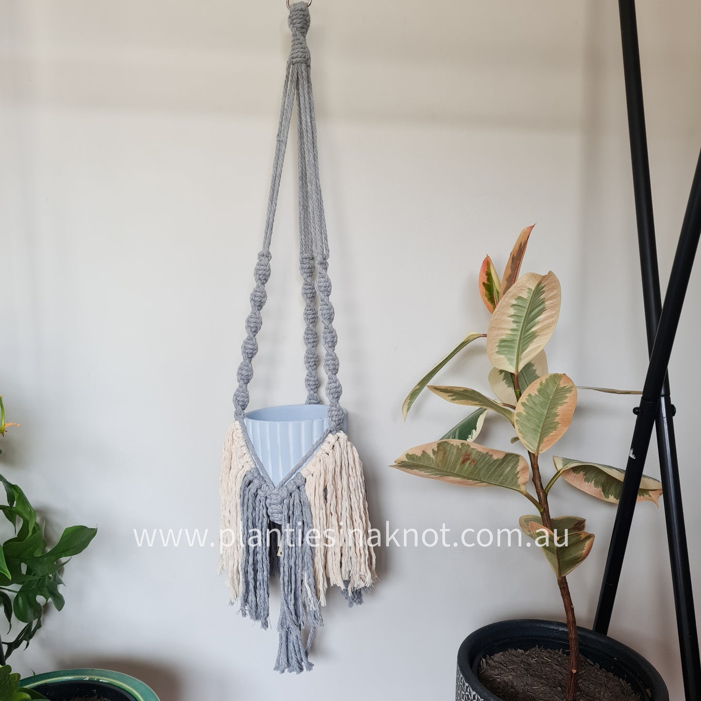 Elizabeth Plant Hanger