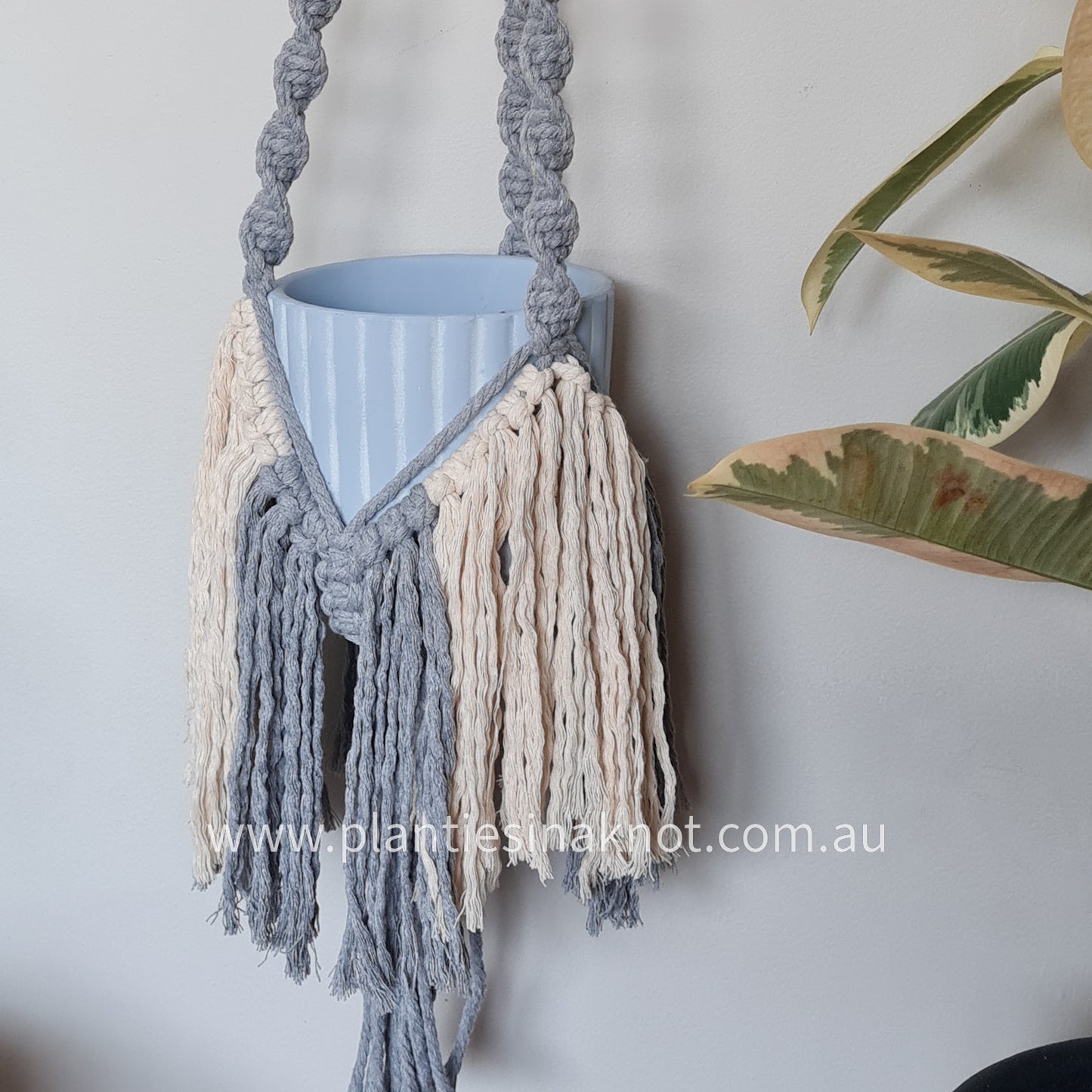 Elizabeth Plant Hanger