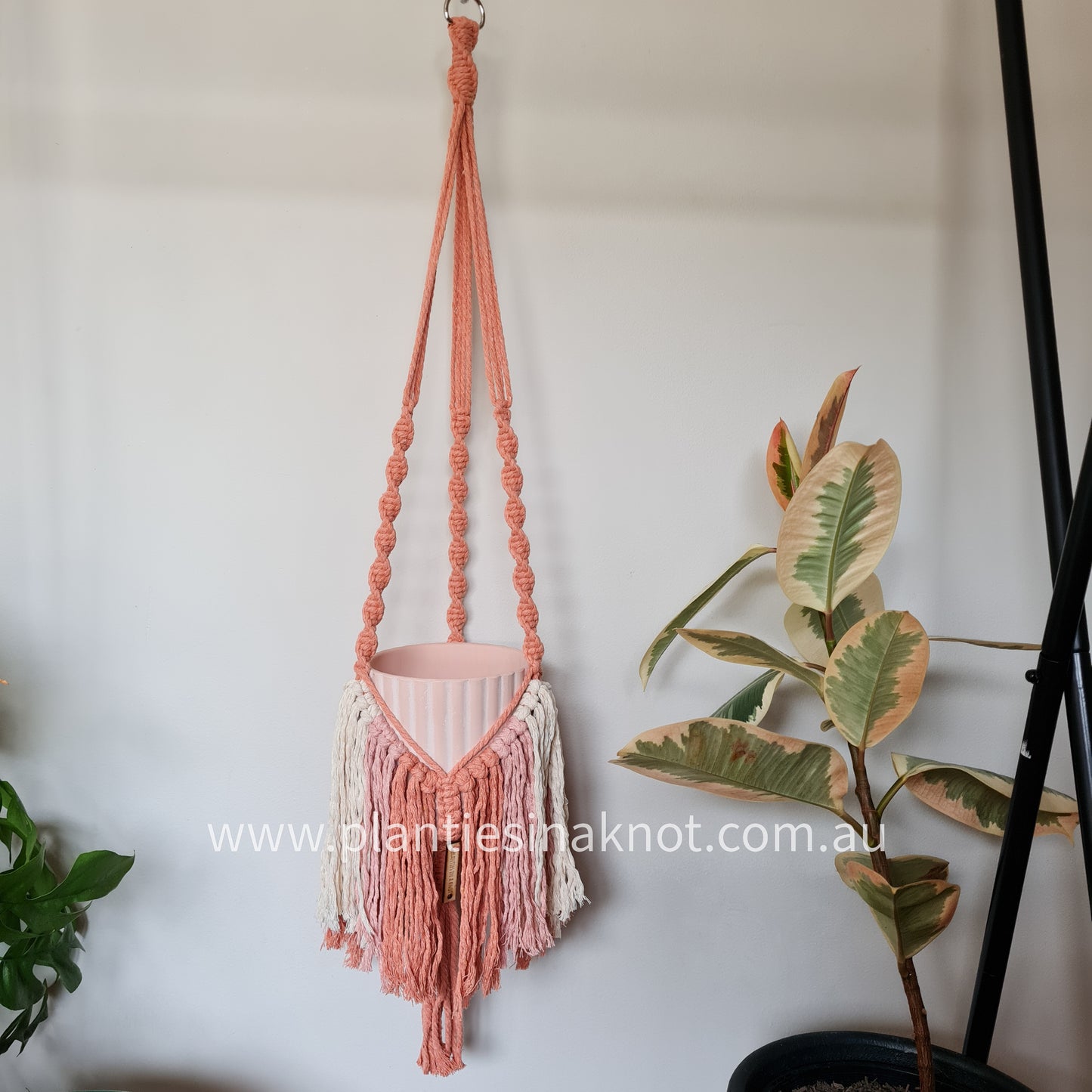 Elizabeth Plant Hanger