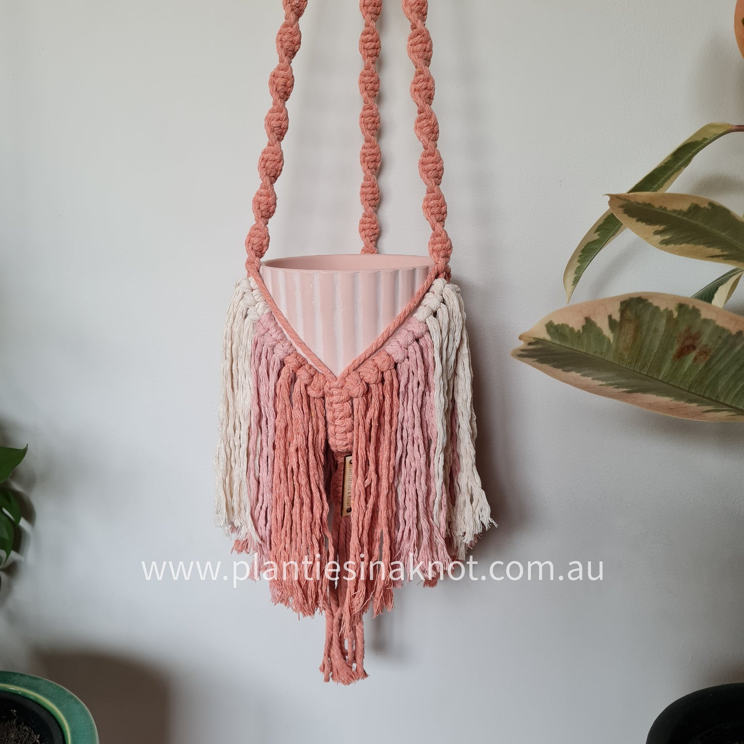 Elizabeth Plant Hanger