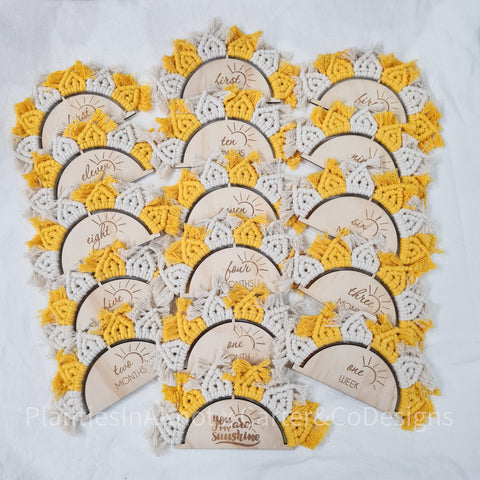 Sunshine Milestone Discs