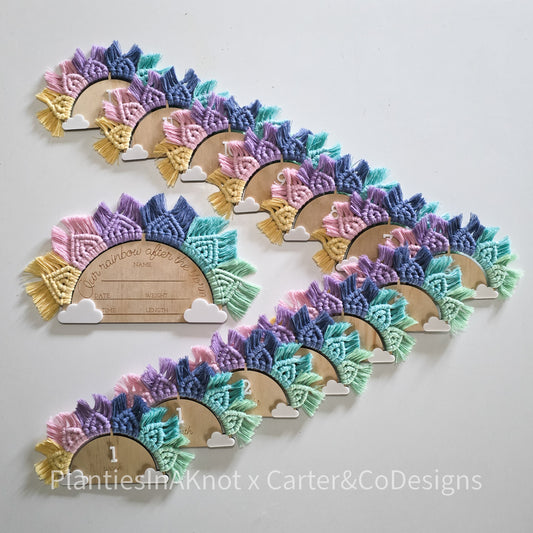 Rainbow Milestone Disc Set - in Pastels