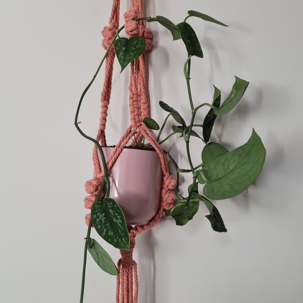 Melana Plant Hanger