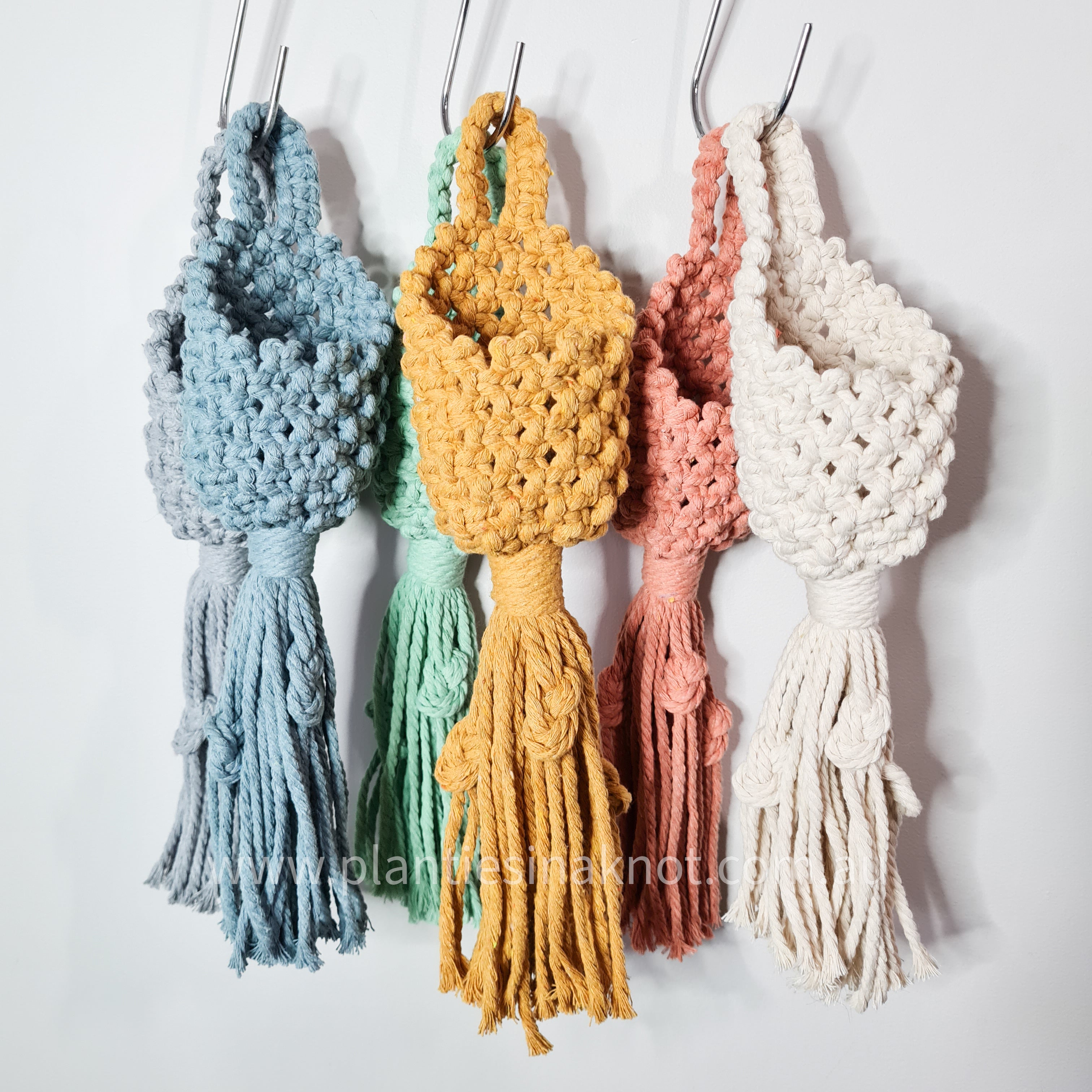 Frances - Macrame Pod – Planties in a Knot