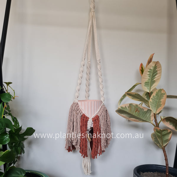 Elizabeth Plant Hanger